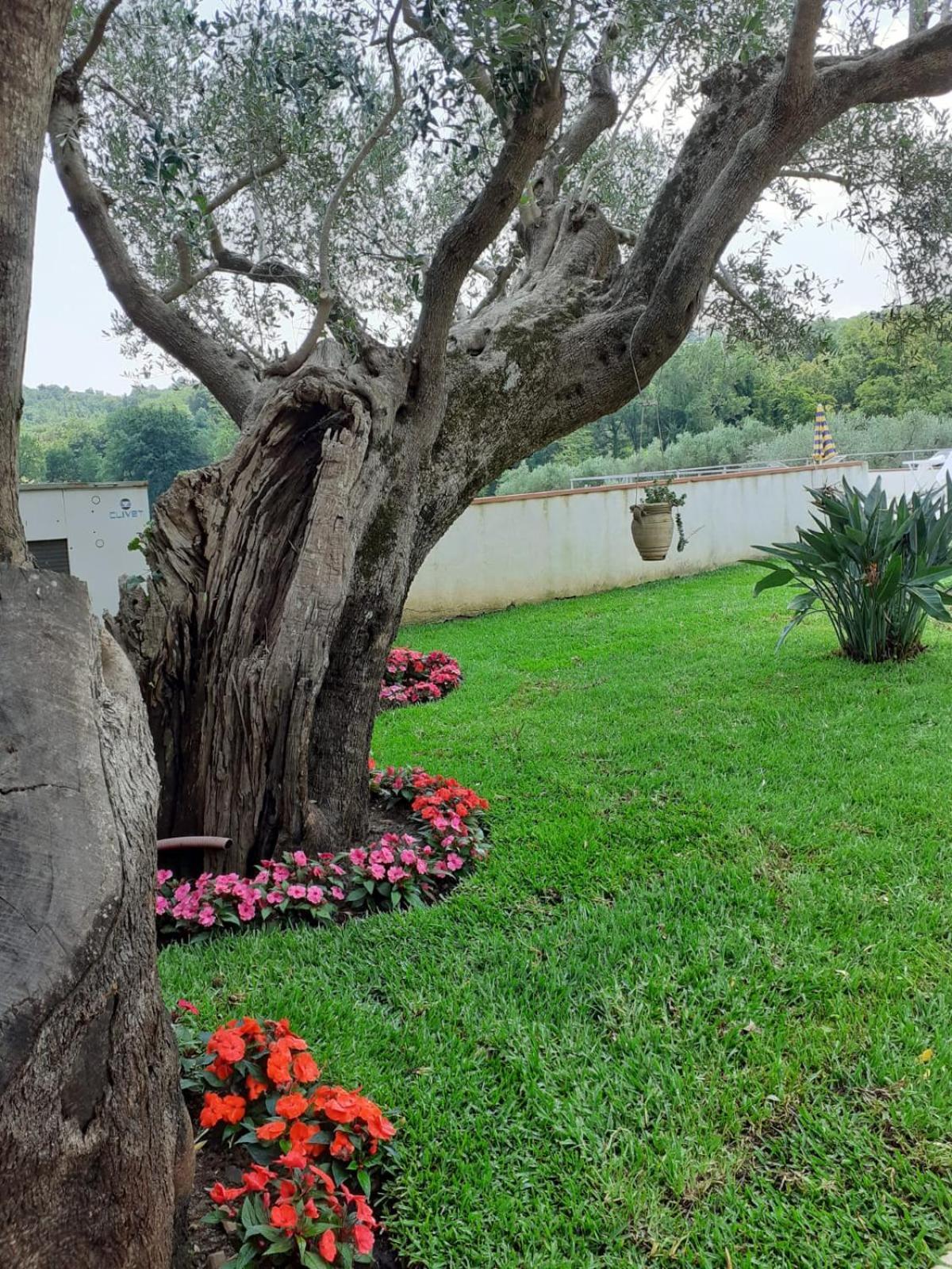Bel Tempio Guest House San Giovanni a Piro Exterior photo